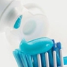 歯磨き産業におけるCMCの利用